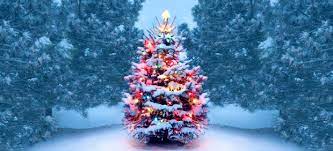 Electronics, including computers, tvs, major appliances,. History Of Christmas Trees History