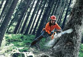 professional chainsaws chainsaw and accessories reviews