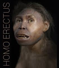 HOMO ERECTUS 1.000.000 BC