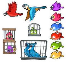 The rio skydiver is now used for tours of the island. 59 Angry Birds Rio Ideas Angry Birds Rio Birds