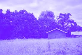 Front Beach, Back Beach (FBBB)