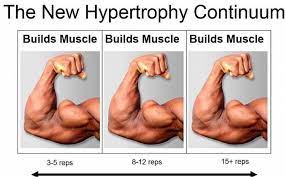 We did not find results for: Nils Oudhuis On Twitter How Many Reps Should You Do To Build Muscle Great Blogpost By Mitchell Casey Credit For Picture Bradschoenfeld Https T Co 6kjt4jepca Https T Co I1wmd4degz