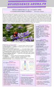 Epingle Sur Https Www Puressence Aroma Fr Produit Huile Essentielle Ciste Ladanifere Fiche Pratique