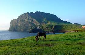 This is jeju air's round trip ticket booking page. 10 Tips Liburan Ke Pulau Jeju Korea Selatan Yang Menyenangkan Sepositif