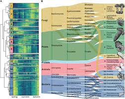 ছবিঃ Sullivan et al
