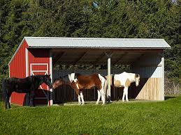 Check out this quality prefab horse stall from jamaica cottage shop today! Horse Sheds For Sale Portable Horse Barn Prefab Horse Stables