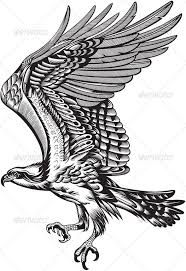 Big Bird With White Head And Black Body Wild Predatory Bird Bird Silhouette Tattoos Silhouette Tattoos White Bird Tattoos