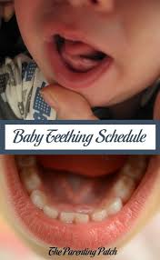 Baby Teething Schedule Baby Teeth Baby Teething Schedule Baby Teething Symptoms