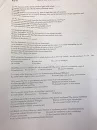 Check spelling or type a new query. Biol 101 31 The Functions Of The Central Vacuole Of Chegg Com