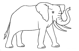 1.9 +80 mandalas de flores para descargar y colorear; Dibujos De Elefante Para Colorear E Imprimir Dibujos Colorear Com