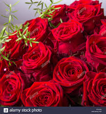 Ideales material für diy, hochzeitseinladungen, grußkarten, zitate, blogs, plakate und vieles mehr. Luxus Strauss Roter Rosen In Flower Shop Valentinstag Blumenstrauss Aus Roten Rosen Stockfotografie Alamy
