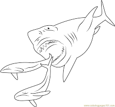 The images are certain to spark creative. Megalodon Shark Coloring Page For Kids Free Shark Printable Coloring Pages Online For Kids Coloringpages101 Com Coloring Pages For Kids