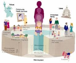 Pin By Mieke De Vreede On Teacher S Pet Pedagogy Child Development Theories Human Development Human Growth And Development