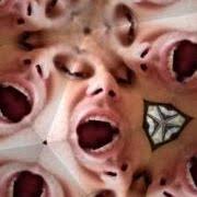 Sean Capper (seancapper)