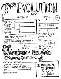 903 likes · 8 talking about this · 62 were here. Evolution Coloring Pages Worksheets Teaching Resources Tpt