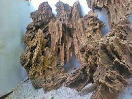 Batu Garang Aquqscape Untuk Hardscape Tanaman Air Tanaman Kebun