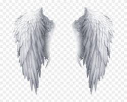 Popular And Trending Feather Stickers On Picsart Transparent Background Angel Wings Png Clipart Is Best Quality An In 2021 Angel Wings Png Wings Png Feather Stickers
