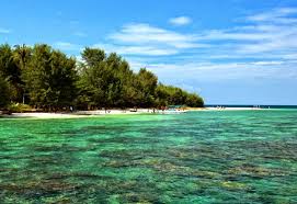 Check spelling or type a new query. Kumpulan Pengertian Apa Itu Ekosistem Hutan Pantai