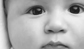 Robert Mattix's Instagram, Twitter & Facebook