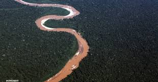 Orellana was the first known person to sail down the amazon river from one end to the other in 1540. The Importance Of The Amazon Rainforest