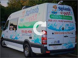 Peace love and happy dogs mobile dog groomer. Mobile Pet Grooming Near Me Pet S Gallery