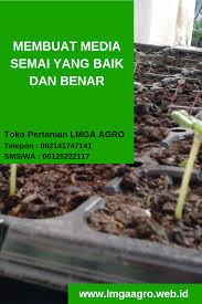 Membuat Media Semai Yang Baik Dan Benar Tanaman Hortikultura Menanam