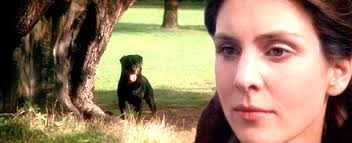 Jennifer Jones and Gregory Peck "Duel in the Sun" One of my favorite movie  🎥🎥