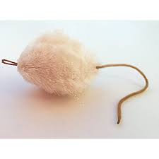 Test braided nylon string and aerodynamically configured feathers that mimic the action and of a real bird in flight. Skitter Frenzy Refill Fits Da Bird Cat Catcher Clarion Baton And And Flying Frenzy Check Out This Great Product This Is A Wild Cats Pet Toys Cat Toys