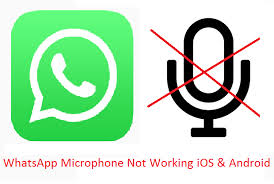 If your whatsapp app is not working on iphone, like whatsapp notification not working, contacts not showing on whatsapp, etc, try the methods here to fix part 3: 9 Fixes Whatsapp Voice Messages Not Working Issues Ios And Android