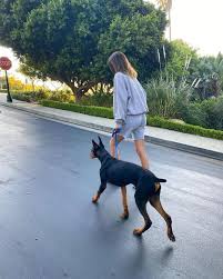 Kendall jenner is a member of the following lists: Kendall Jenner Walked Her Dog Pyro In The Tiniest Shorts Ever Foreign Policy