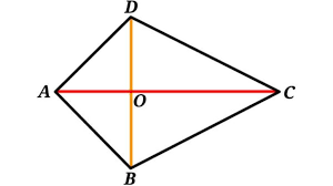 Contoh soal luas layang layang brainly. Bangun Datar Layang Layang
