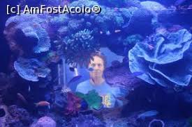 Check spelling or type a new query. Poze Israel Orientul Mijlociu P 1 273 Amfostacolo