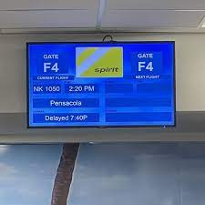 Spirit Airlines Boca Raton, FL - Last Updated September 2023 - Yelp