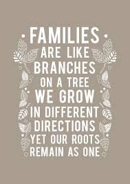I cherish the memories that make its roots run deep. 60 Top Family Quotes And Sayings