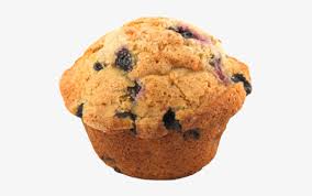 blueberry muffin clipart stud muffin f 1563178 png images pngio blueberry muffin clipart stud muffin