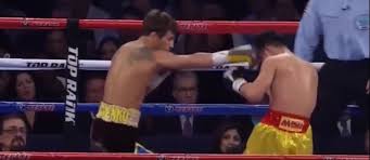 Why Is Boxing Called The Sweet Science? (Boxing History research ...