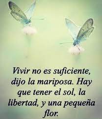 1 454 Me Gusta 8 Comentarios Doris Villegas Rosado Doris Villegasrosado En Instagram