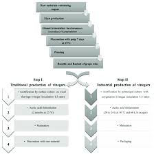 Flowchart Showing The General Production Methods For Vinegar