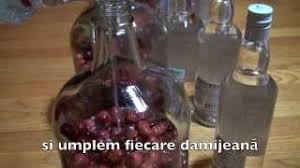 Ce ne trebuie pentru reteta de visinata de casa: Cum Se Face Visinata Youtube