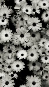 Black White Flowers Wallpaper Black Wallpaper Iphone Dark White Iphone Background Black And White Background