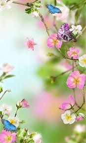 Flower background wallpaper flower backgrounds pink wallpaper screen wallpaper mobile wallpaper background patterns pattern wallpaper wallpaper backgrounds 3d background. Android Flower Android Mobile Full Screen Wallpaper Hd Hd Wallpaper