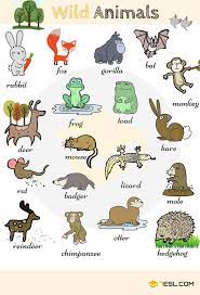 Learn Animal Names In English Eslbuzz Learning English English Vocabulary Animals Name In English List Of Animals
