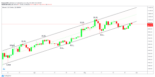 In case you missed it 'world's smallest cow' could be a huge public health. Https Img1 Wsimg Com Blobby Go 3145e02c 917b 4182 8cfe 7a4432e3459d 01 20emperorbtc 20trading 20manual Final Pdf