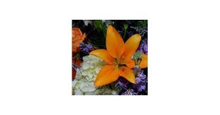 Judith Ferrell Obituary (2024)