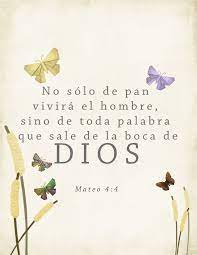 Pin En Vida Con Proposito Versiculos Biblicos