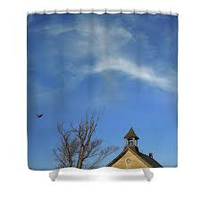 Identical hangars at the container store: Tuesday Morning Shower Curtains Fine Art America