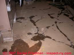 Wet Basement Diagnosis Cure How To Inspect For Basement Leaks Or Moisture