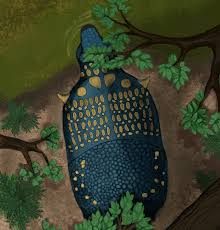 Image result for Monanthotaxis poggei