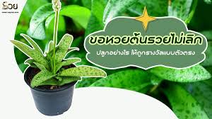 We did not find results for: à¸‚à¸­à¸«à¸§à¸¢à¸• à¸™à¸£à¸§à¸¢à¹„à¸¡ à¹€à¸¥ à¸ à¸›à¸¥ à¸à¸­à¸¢ à¸²à¸‡à¹„à¸£ à¹ƒà¸« à¸– à¸à¸£à¸²à¸‡à¸§ à¸¥à¹à¸šà¸šà¸• à¸§à¸•à¸£à¸‡