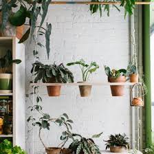Take A Look Inside The Best Plant Instagram Accounts Plants House Plant Care Cool Plants